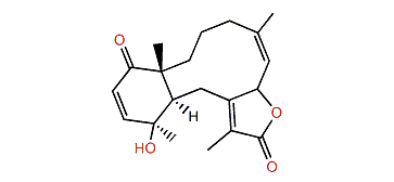Bathyptilone C